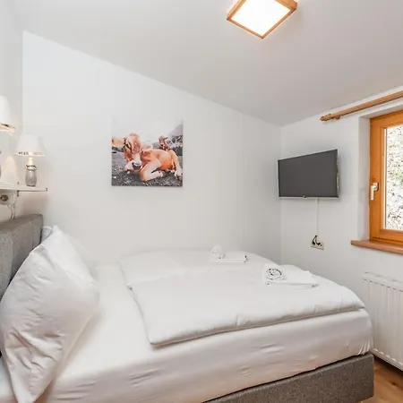 Auschloessl Reiteralm - 5 Minutes Walk To Cablecar